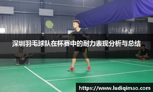 深圳羽毛球队在杯赛中的耐力表现分析与总结