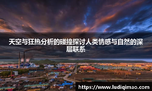 DG视讯官网